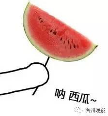 吃瓜西瓜大队,揭秘瓜界风云，品味生活百态