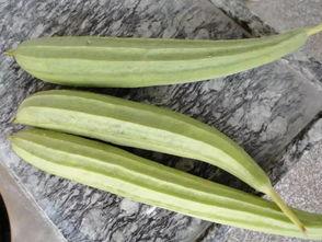 吃瓜的方法送给吃瓜群众